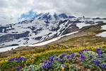 US,+Washington,+Mount+Rainier+National+Park