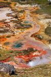 US,+Yellowstone+National+Park,+Artists+Paintpots