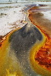 US,+Yellowstone+National+Park,+black+sand+basin