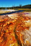 US,+Yellowstone+National+Park,+black+sand+basin