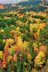 Canada,+Algonquin+Provincial+Park,+view+from+Booth