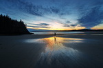 Canada,+beach+in+Fundy+Bay