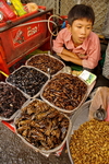 Cambodia,+Phnom+Phen,+central+market,+insects+an+spider+shop