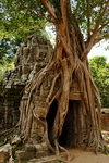 Cambodia,+Angkor,+Ta+Som