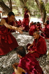 Tibet,+Sera+monastery,+monks+in+debating+courtyard