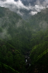 India,+mountains+arround+Champawa