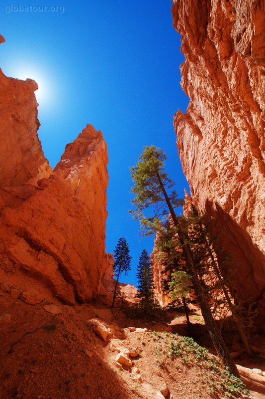 US, Utah, Bryce Canyon, Navajo and Queens garden trail.