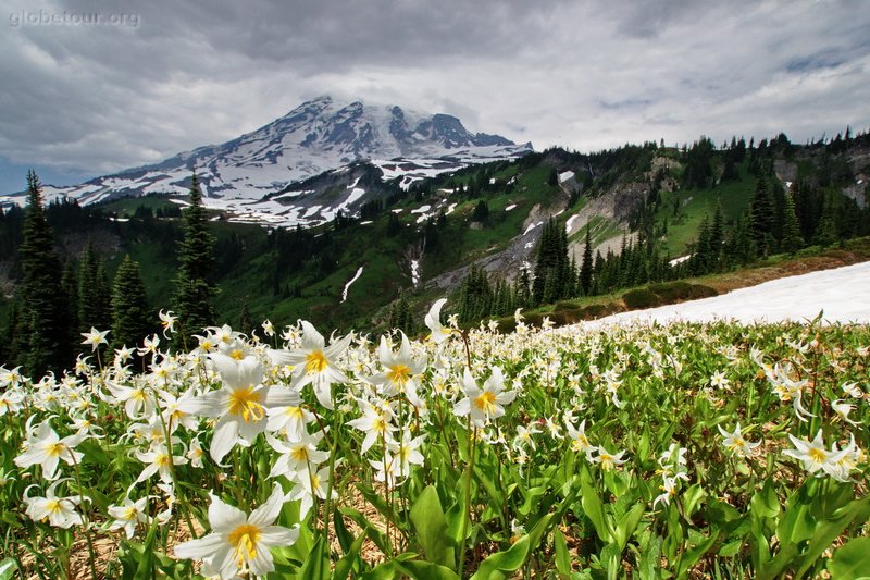 US, Washington, Mount Rainier National Park