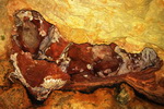 US,+minerals+in+Jewel+cave